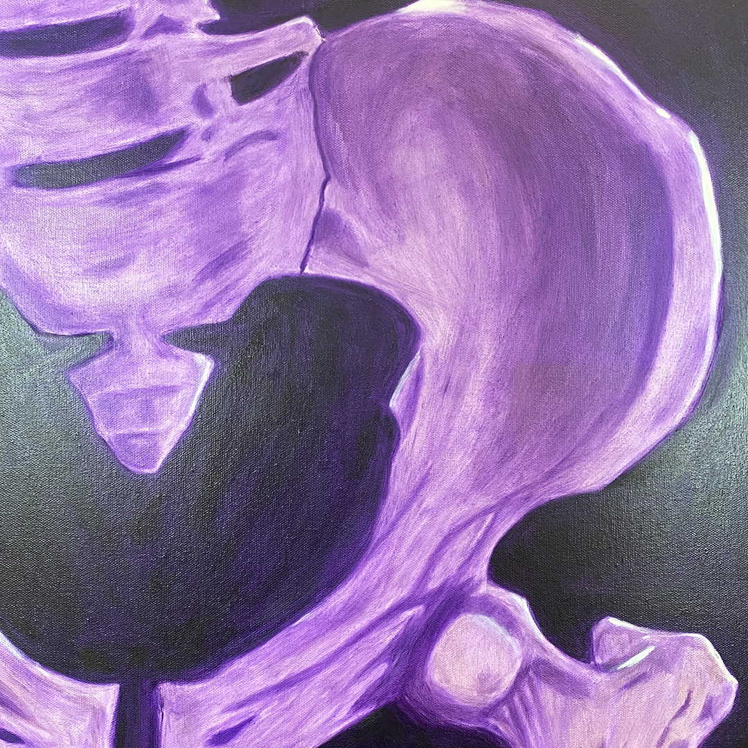 cropped version of pelvic bone painting